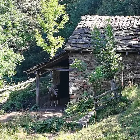 Asturias Boho Chic *